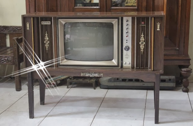 awal mula televisi net29